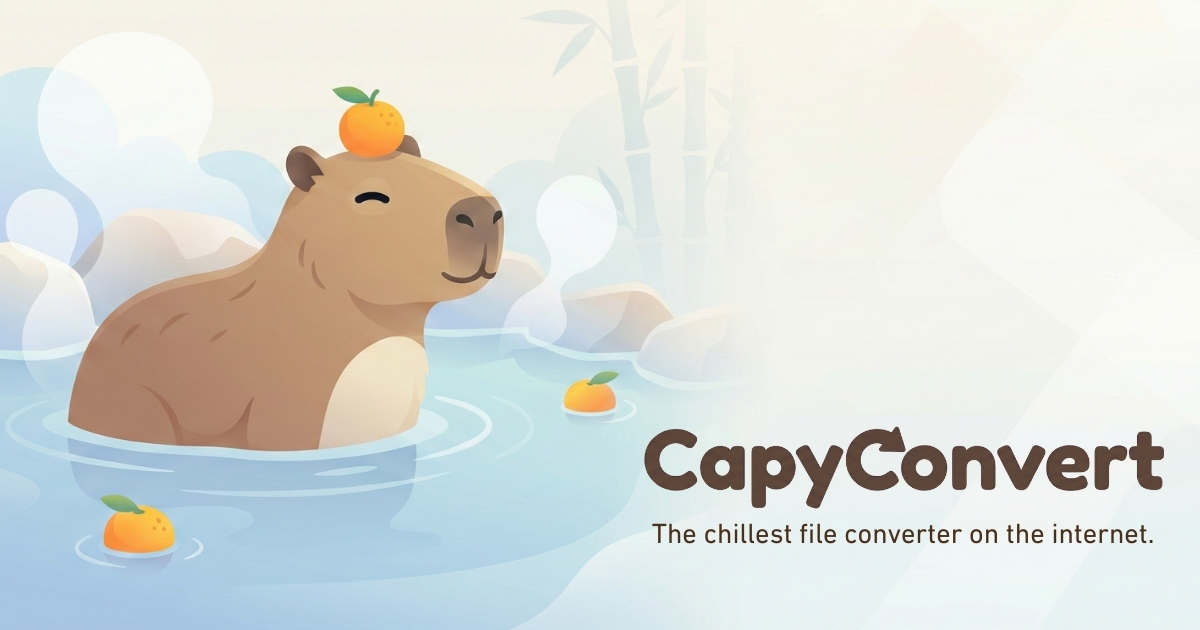 www.capyconvert.com image